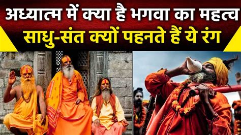 Saffron Colour In Hinduism हिंदू धर्म में Bhagwa Color क्यों है खास