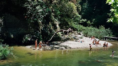 Garden Of Eden Swimming Hole | Fasci Garden