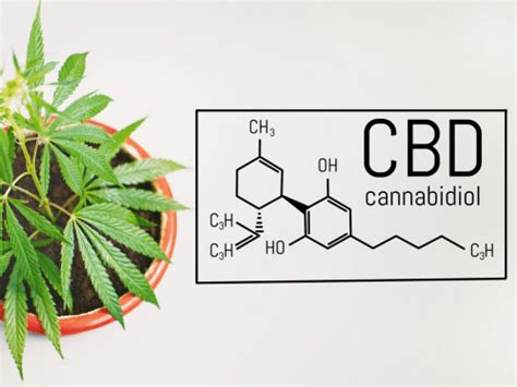 La meilleure manière de consommer du CBD cbddiscount fr