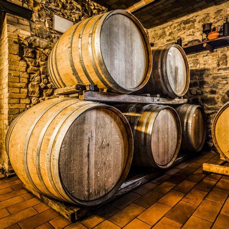 Wine Barrels In Cellar Stock Photo Image Of Cellar