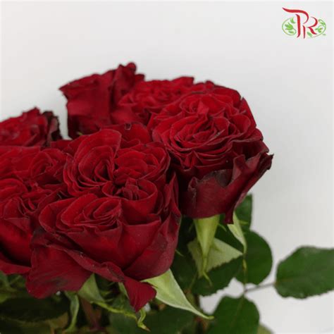 Ceres Rose Hearts Red 10 Stems Same Day Delivery By Pudu Ria Florist