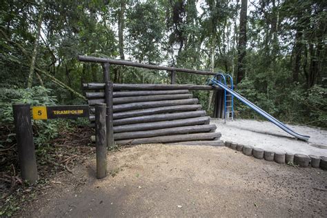 Bosque Reinhard Maack 1
