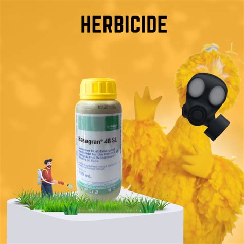 Basagran Sl Selective Herbicide Bentazon Liter Lazada Ph