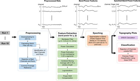 Frontiers Individual Finger Movement Decoding Using A Novel Ultra