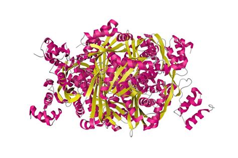 Complex Of The Catalytic Portion Of Human Hmg Coa Reductase With Hmg