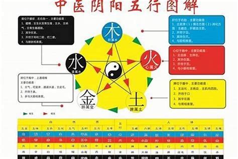 五行怎么看强弱属性？五行如何调整弱和强起名若朴堂文化