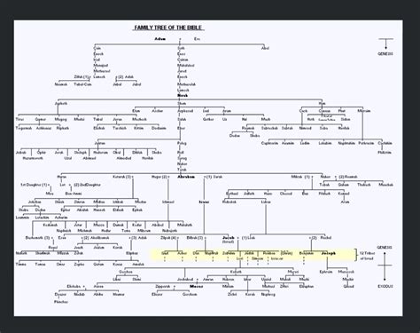 Family tree from beginning to Moses | Bible family tree, Scripture ...