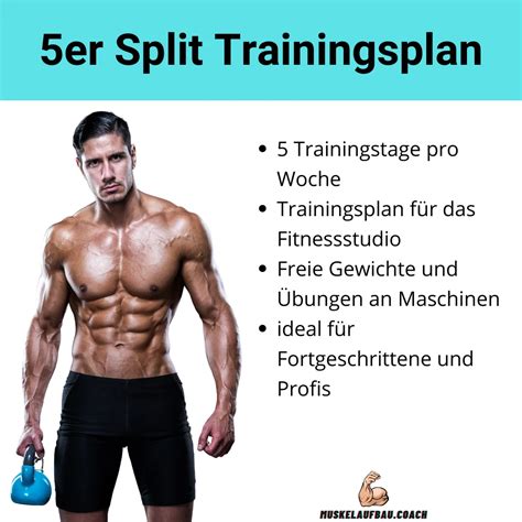 Er Split Trainingsplan Muskelaufbau Coach