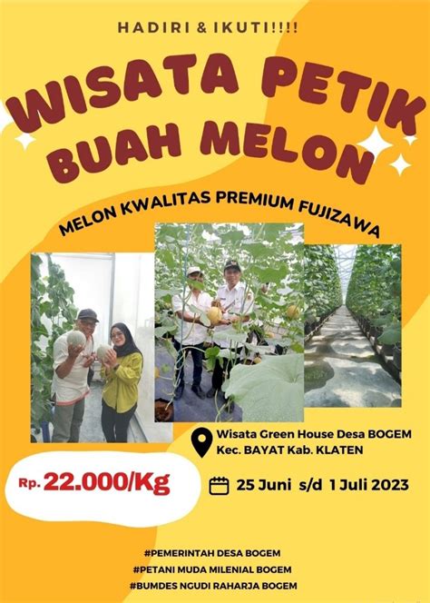 WISATA PETIK BUAH MELON DI DESA BOGEM KECAMATAN BAYAT Kecamatan Bayat