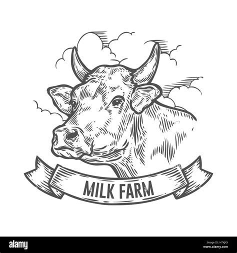 Cows Head Hand Drawn Sketch In A Graphic Style Vintage Vector