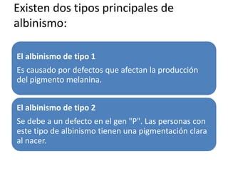 Albinismo PPT Descarga Gratuita