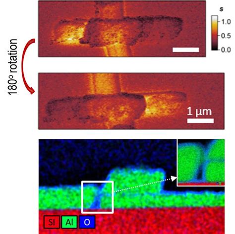 Microscope Images [image] Eurekalert Science News Releases