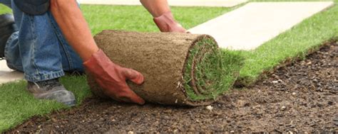 How To Prep For Sod Installation Ryno Lawn Care LLC