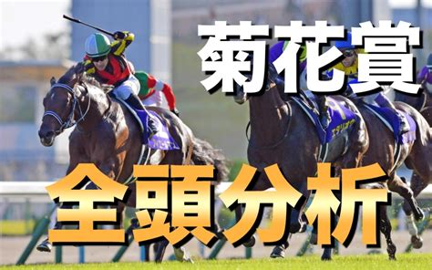 菊花賞2019の予想に使える全頭分析｜競馬ブログ K Ba Life