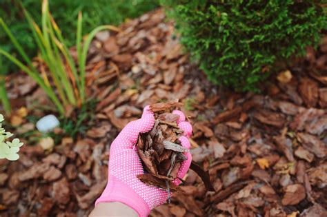 What Are the Different Types of Mulch? - Innovative Landscape Design