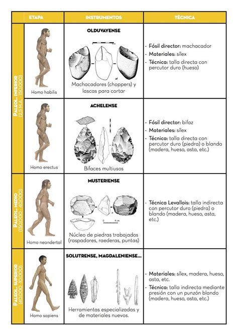 Industrias L Ticas History Projects Human Evolution World History