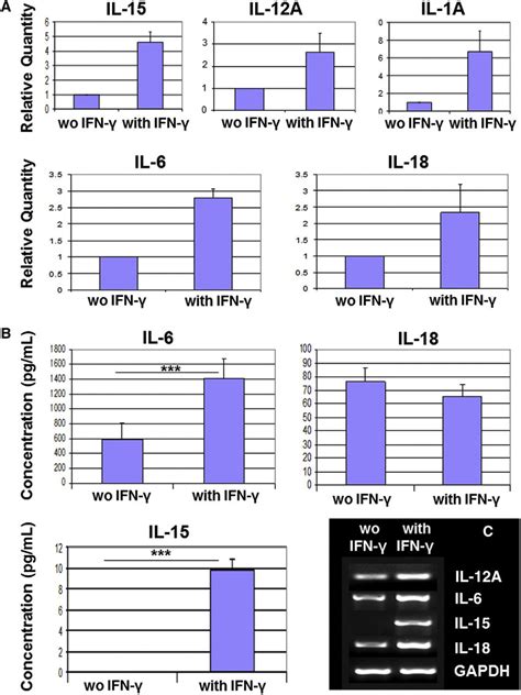 Expression Of Cytokines By Hesc Rpe Cells A Real Time Pcr Analysis Of