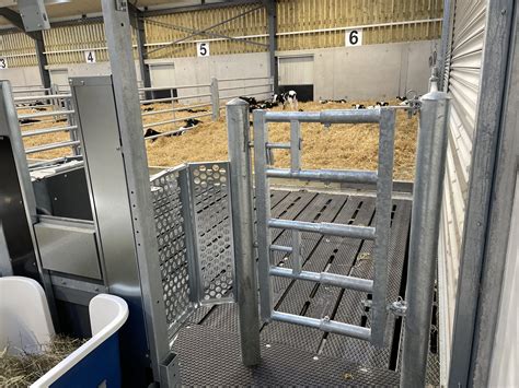 Video: See inside new €1m UCD calf research facility - Agriland.ie