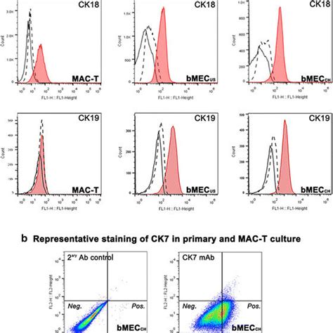 Flow cytometry analysis of selected markers of mesenchymal-like cells ...