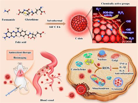 【科技自立自强】西安交大科研人员在碳点纳米酶生物医学应用方面取得系列新进展 西安交通大学新闻网