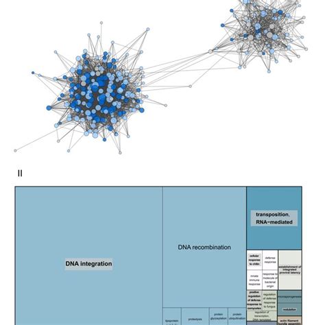 I Coexpression Network Created With The Highest Reciprocal Rank Hrr