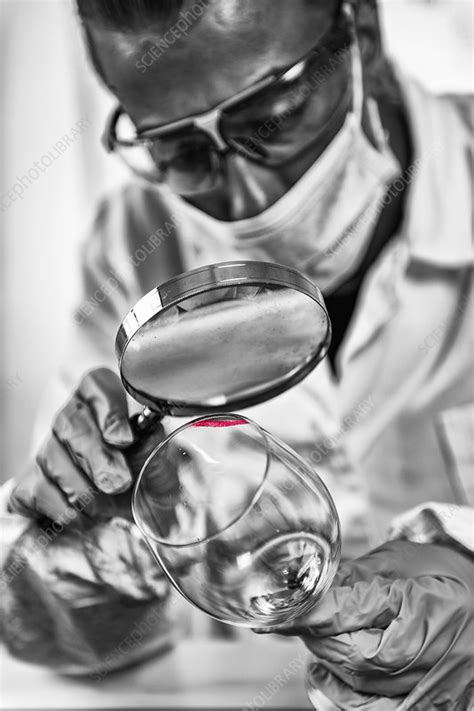 Forensics Expert Examining Crime Scene Evidence Stock Image F024