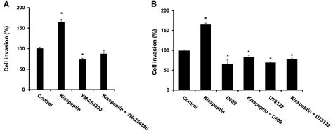 Kisspeptin Promotes Glioblastoma Cell Invasiveness Via The Gq Plc Pkc