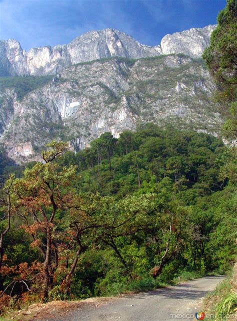 Sierra Madre Oriental San Pedro Garza Garc A Nuevo Le N