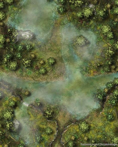 Forest Creek Swamp Variant X Battlemaps Fantasy Landscape