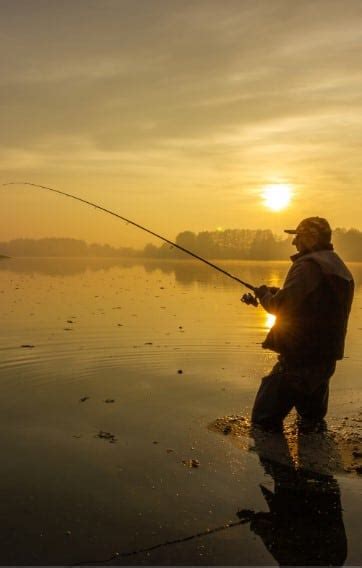 Técnicas de pesca em água doce do arremesso à fisgada perfeita Sua Isca