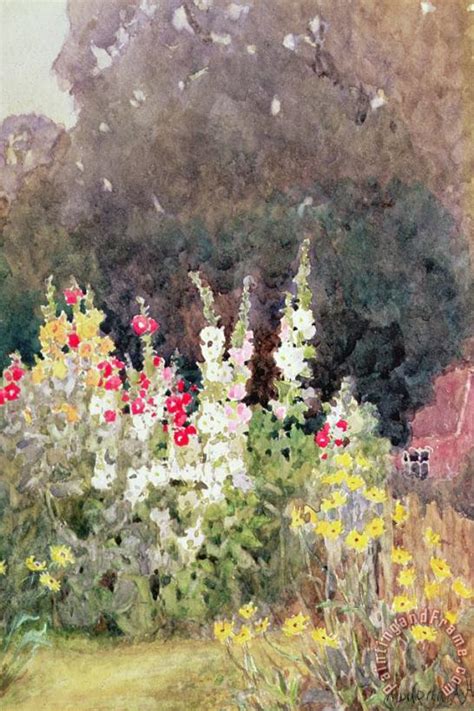 Helen Allingham Hollyhocks painting - Hollyhocks print for sale