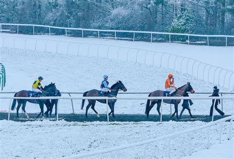 Weather watch: Lingfield's Monday fixture abandoned