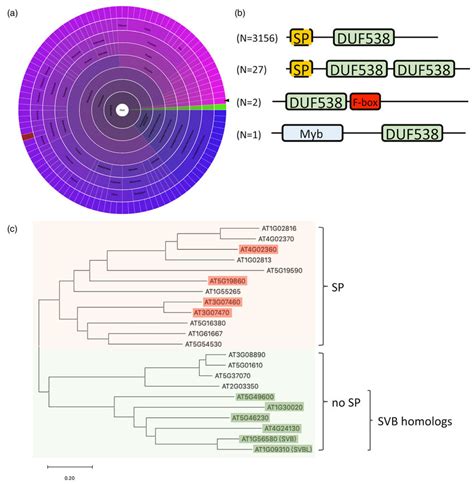 Distribution Of Duf Proteins Across Species And Phylogenetic