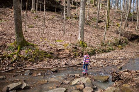 Turkey Ridge Campground — Ferne Clyffe State Park Goreville Il