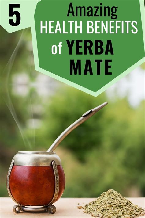 5 Amazing Yerba Mate Tea Benefits (Backed by Science)