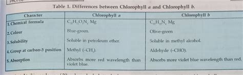 Difference Chl A Chlo B Botany Notes Teachmint