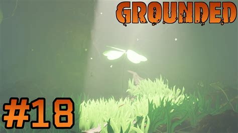 Grounded Part Youtube