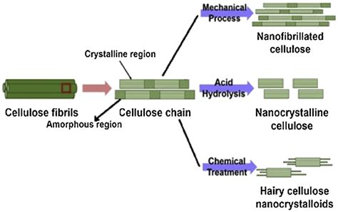 Polymers Free Full Text Micro And Nanocellulose In Polymer