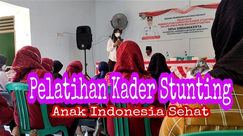 Pelatihan Kader Stunting Youtube