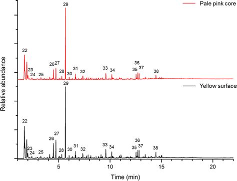 Normalized Py Gcms Chromatograms Of The Pale Pink Core In Red And