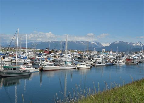 Visit Homer On A Trip To Alaska Audley Travel Uk