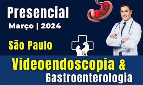 Videoendoscopia Gastroenterologia em Pequenos Animais São Paulo