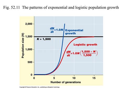 Ppt 4 Effects Of Population Structure On Dynamics A Sex Ratio B Age Structure C Life