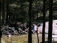 Naked Megan Dodds In The Contract