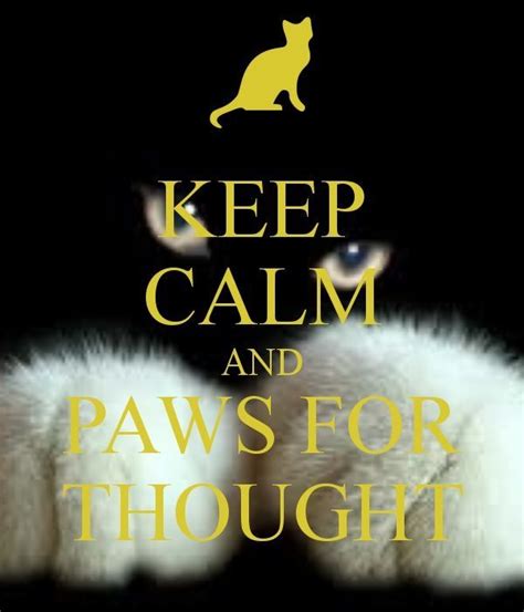 A Black And White Cat With The Words Keep Calm And Paws For Thought