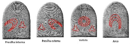 Identificaci N Humana Sistema Dactiloscopico Argentino