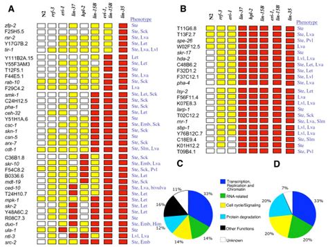 A B Color Code Representation Of The Strength Of RNAi Phenotypes Of