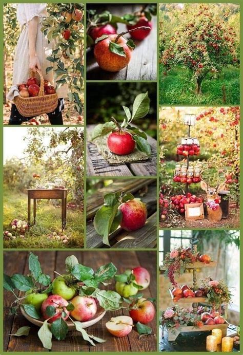 Pin by Sternlein 55 on Früchte Beautiful collage Color collage Fall