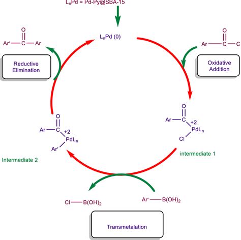 Proposed mechanism for the Suzuki-type cross-coupling reaction ...