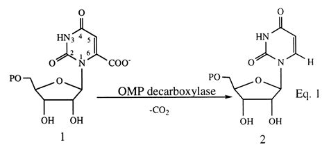 The Crystal Structure And Mechanism Of Orotidine Monophosphate